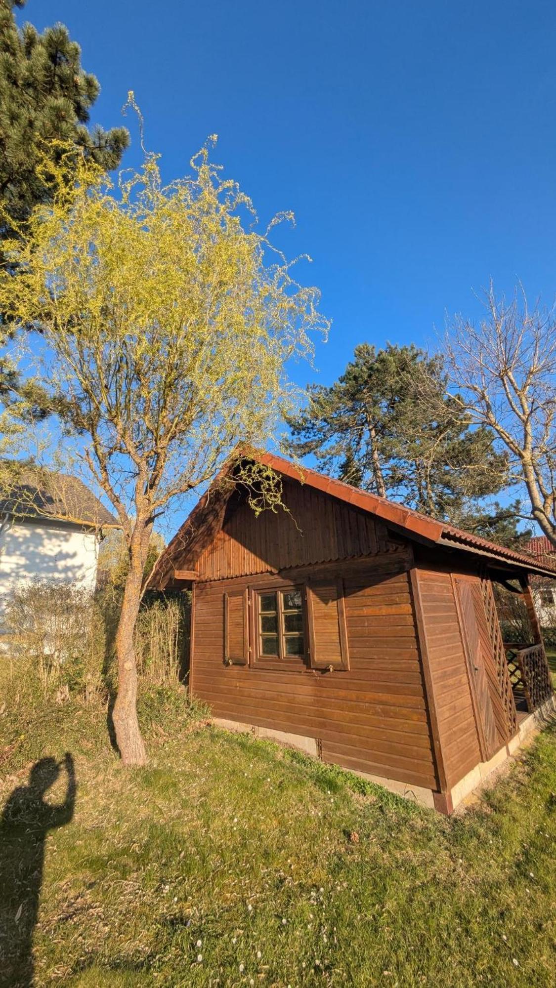 Landhotel Sonneneck - Breuna Im Naturpark Экстерьер фото